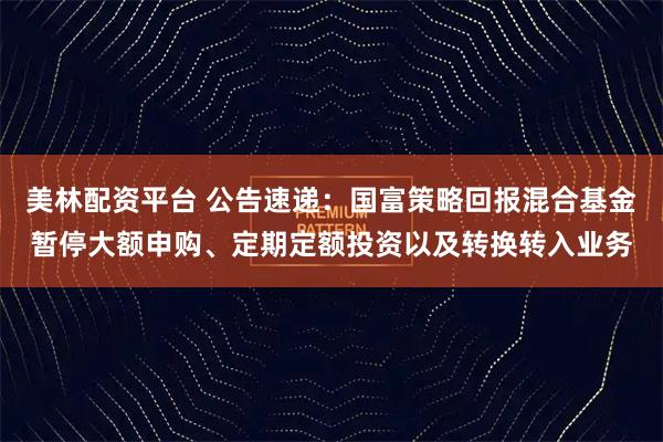 美林配资平台 公告速递：国富策略回报混合基金暂停大额申购、定期定额投资以及转换转入业务