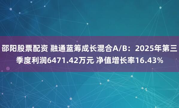 邵阳股票配资 融通蓝筹成长混合A/B：2025年第三季度利润6471.42万元 净值增长率16.43%