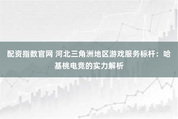 配资指数官网 河北三角洲地区游戏服务标杆：哈基桃电竞的实力解析