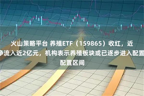 火山策略平台 养殖ETF（159865）收红，近5日净流入近2亿元，机构表示养殖板块或已逐步进入配置区间